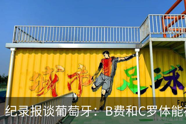 纪录报谈葡萄牙：B费和C罗体能被逼到了极限 主力未得到充分休息